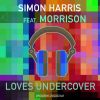 Download track Loves Undercover (Street Instrumental)