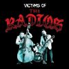 Download track Victims Of Period