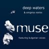 Download track Deep Waters (Ibiza Remix Edit)