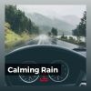 Download track Some Rain Sounds