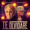 Download track Te Olvidare (Melendez Levita)