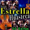 Download track FIESTA EN EL PUEBLO