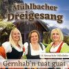 Download track Übern Tauern Tuat´s Schauern