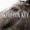 Download track Skeleton Key