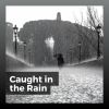 Download track Rain Elated
