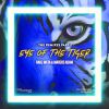 Download track Eye Of The Tiger (Rashad Miraz Radio Edit)