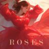 Download track Roses (Soft Version)