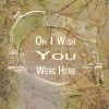 Download track Oh I Wish You Were Here (Stripped Instrumental)