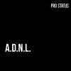 Download track A. D. N. L.