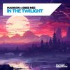 Download track In The Twilight (Extended Mix)