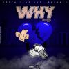 Download track Why