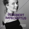 Download track 4 Impromptus, D. 899, Op. 90 No. 4 In A-Flat Major. Allegretto