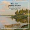 Download track Rhapsodische Sinfonie, Op. 95: Rhapsodische Sinfonie, Op. 95: II. Allegro Marciale