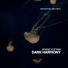 Download track Dark Harmony (Radio Mix)