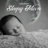 Download track Sleepy Moonlight