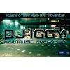 Download track Fly (It'S The DJ Kue Remix!) [JIMBO Edit] 