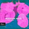 Download track Morning Haze (Sydka Remix)