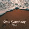 Download track Slow Symphony