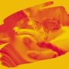 Download track Exquisite Ambiance For Friendly Cats