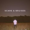 Download track Scars & Bruises