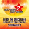 Download track Enjoy The Dancefloor (Official Street Parade Hymn 2014) [Extended Mix]