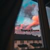 Download track Tropical Groove