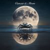 Download track Moonlit Waves