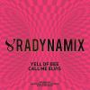 Download track Call Me Elvis (Radynamix Remix)