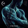 Download track Veins (Original Mix)