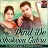 Download track Shokeen Gabru