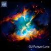 Download track Forever Love (Instrumental)