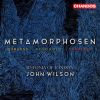 Download track Strauss: Metamorphosen, TrV 290 (Transcribed By Rudolf Leopold)