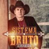 Download track Sistema Bruto