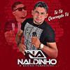 Download track Toca Sanfoninha (Cover)