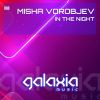Download track In The Night (Extended Mix)