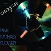 Download track Drum N' Groove