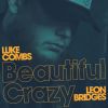 Download track Beautiful Crazy (Live)