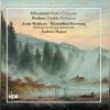 Download track Schumann: Violin Concerto In D Minor, WoO 1 - II. Langsam