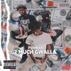 Download track Mr. Gwalla