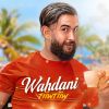 Download track Wahdani