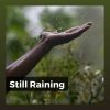 Download track Autonomous Rain