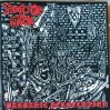 Download track Chamber Of Morbidity