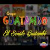 Download track El Ritmo De Los Guatambó