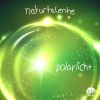 Download track Polarlicht