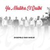 Download track Hayamouni Tayamouni