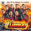 Download track Que No Se Apague La Lumbre