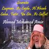 Download track Sourate Fatir (Quran)