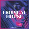 Download track Tropical Vibes