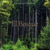 Download track El Bosque - Parte V (Árboles Centenarios)