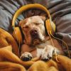 Download track Relaxing Dog Rhythms